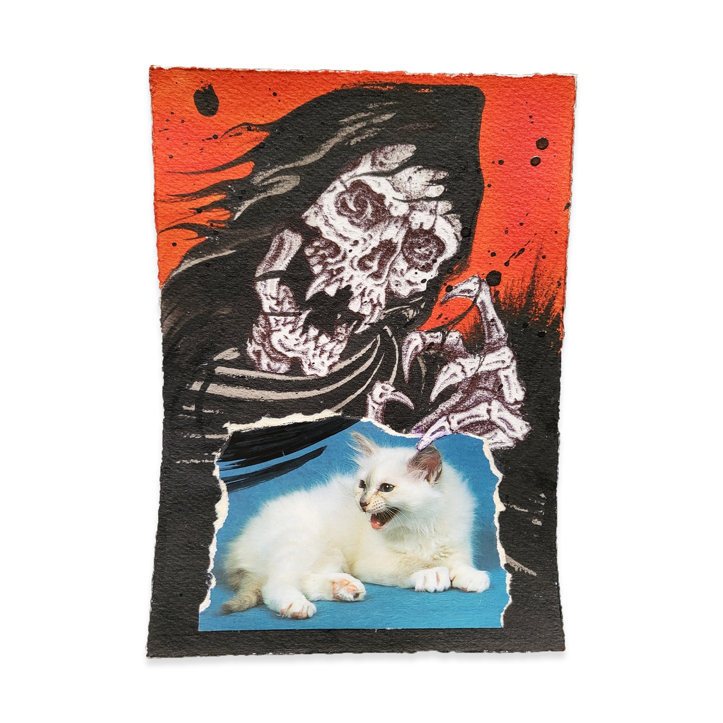 Kitty by Death Cloak