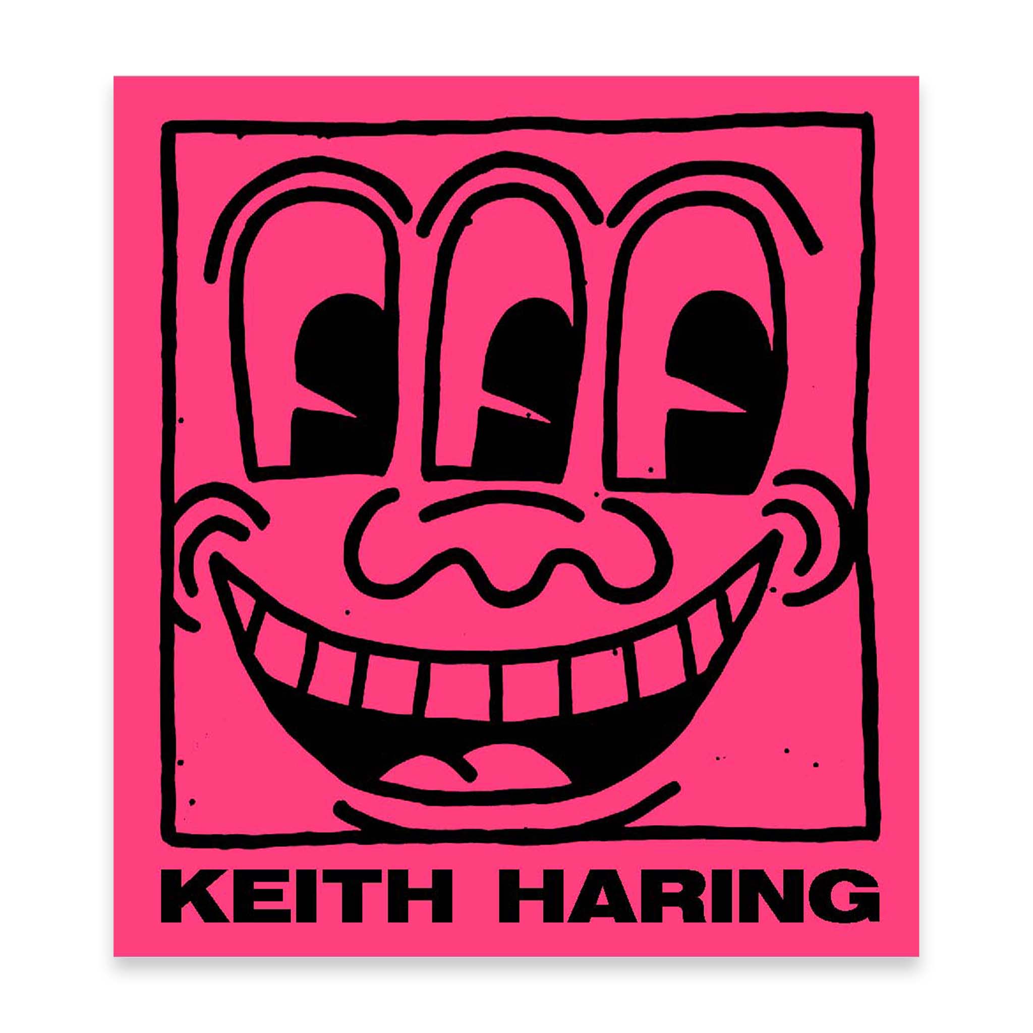 Keith Haring Hardcover Book – Overspraysupply