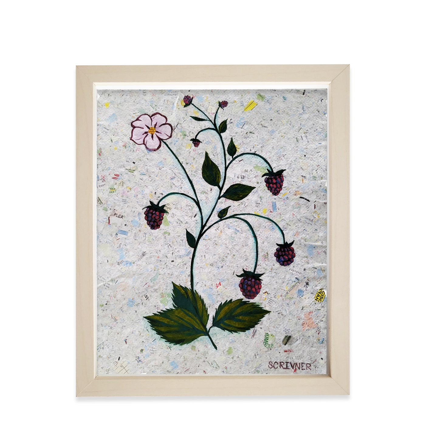 Blackberries by Melisssa Scrivner