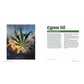 A book spread scan of pages 204-205 with a colored photo of a painting with large font 'Cypress Hill - Eternal Inhale' with an exerpt of Justin Bua's, The Book of Hip Hop.