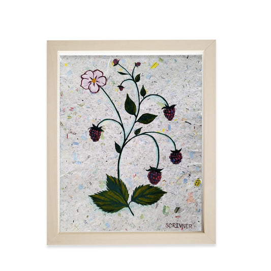 Blackberries by Melisssa Scrivner