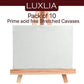 Luxlia Canvas 10 Pack 8x10